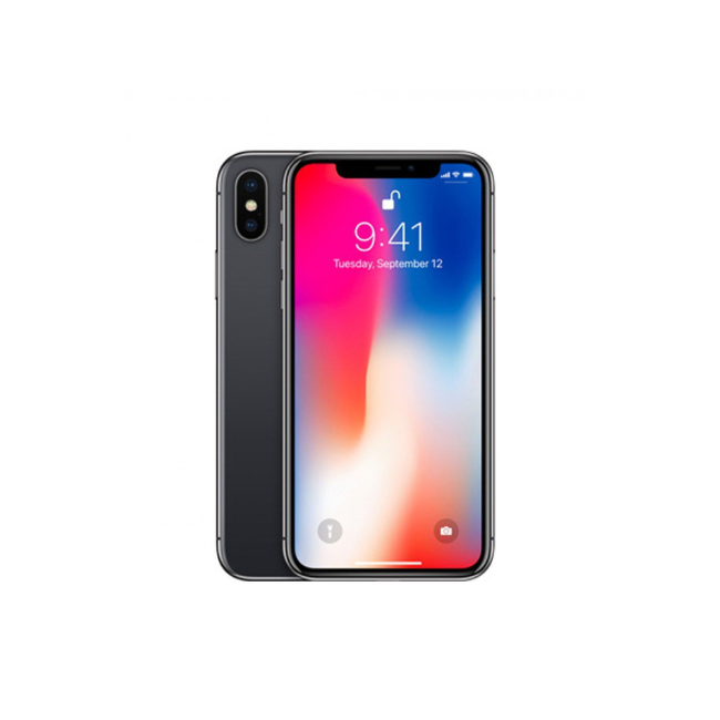 Apple iPhone X Unlocked